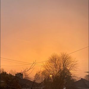 Meet your Posher, Darya